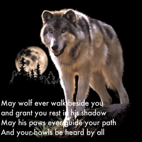 Quotes About Crying Wolf Quotesgram