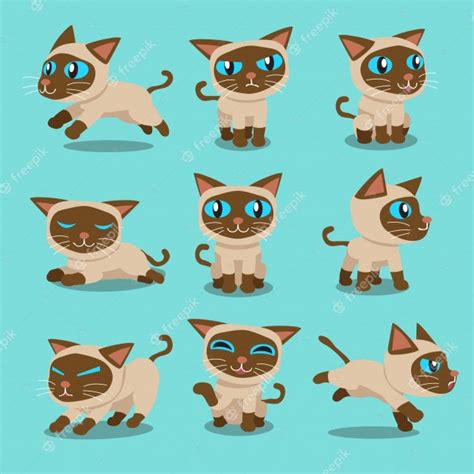 Premium Vector Cartoon Character Siamese Cat Poses