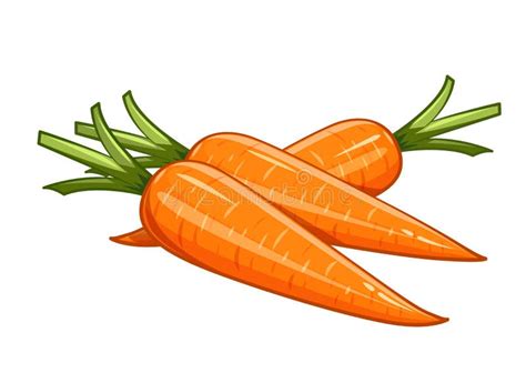 Carrot Vector Illustration Eps10 White Background Stock Vector