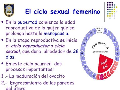 Ciclo Sexual Femenino