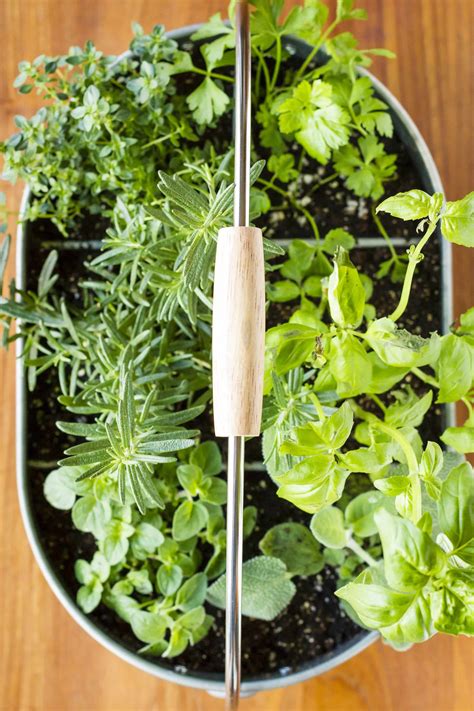 32 Ways To Create The Best Indoor Herb Garden Container