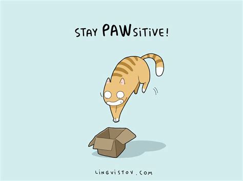 8 Cat Puns That Will Make Your Day