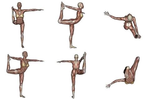 Six Different Views Of Dancer Yoga Pose Showing Female Musculature 13008641