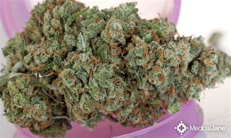 In some regions you may find an eighth for as little as $25 or as high as $65. How Much Weed To Buy As A First-Time Patient