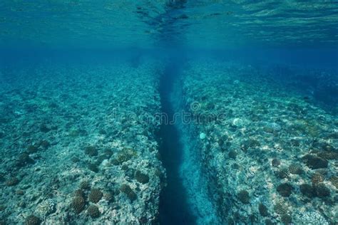 Trench Carved By Swell Underwater Pacific Ocean Stock Image Image Of