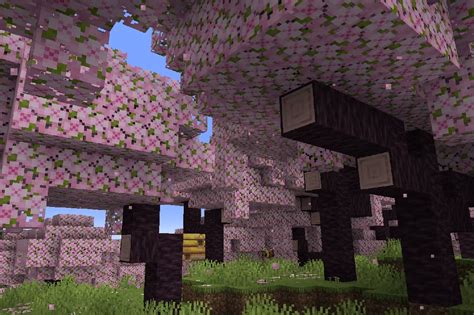 The New Minecraft Update Adds Sniffers And Cherry Grove Biomes