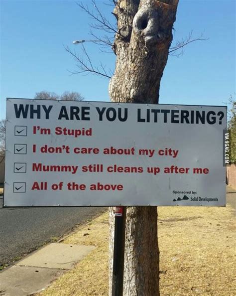 Why Are Youlittering0 Im Stupid 0 I Dont Care About My City 0 Mummy