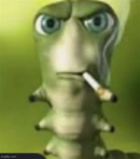 goofy ahh catapillar - Imgflip
