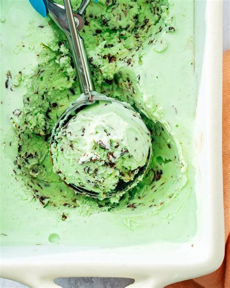 Mint Chocolate Chip Ice Cream A Couple Chefs Bestailife Com