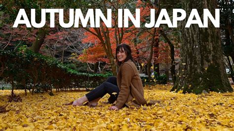 Autumn In Japan 2020 Autumn Leaf Hunting Momijigari On Miyajima