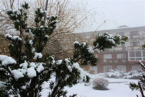 Isso porque é um local com muitos rios e uma vegetação densa. Neve no Hotel Alpestre em Gramado (inverno de 2013) | Neve ...