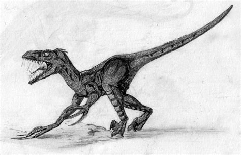 Jp Velociraptor By Kytjunon On Deviantart
