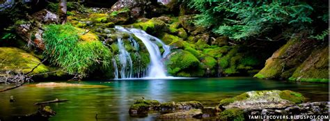 My India Fb Covers Waterfall And Green Nature Nature Fb Cover