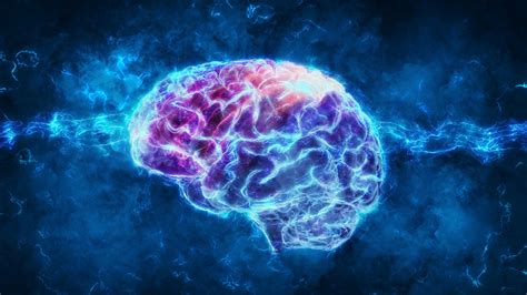 How Much of Our Brains Do We Really Use? – MindBounce