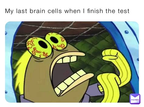 My Last Brain Cells When I Finish The Test Eastomybro Memes
