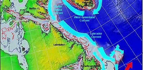 This map shows where canada is located on the world map. What And Where Is The Labrador Current? - WorldAtlas.com