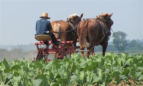 Lancaster County Country Living Starting in the $220's ...