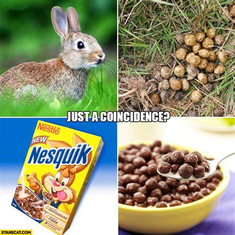Just A Coincidence Rabbit Bunny Poo Looking Like Nesquik