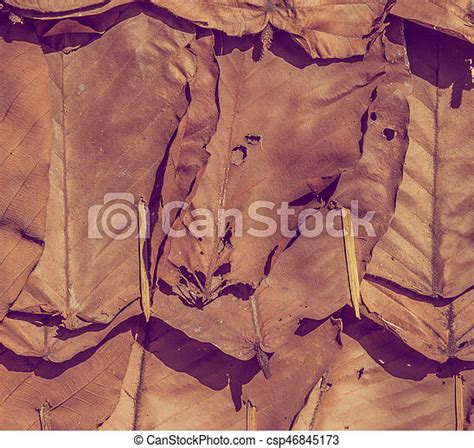 Vintage Tone Image Of Old Roof Made With Dry Teak Leaf Canstock