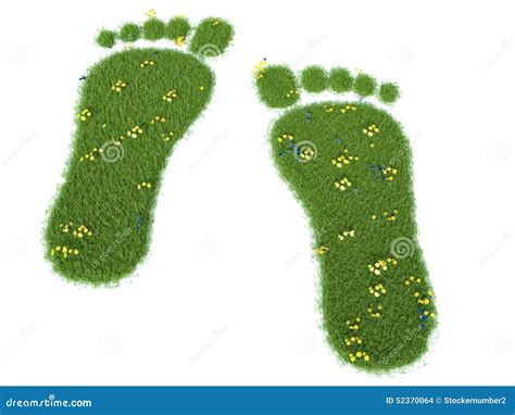 Green Grass Growing Footprints Stock Illustration Illustration Of