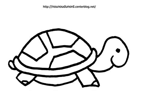 Aujourd'hui, nous allons dessiner une petite tortue kawaii, nous allons également la colorier étape par étape. 20 dessins de coloriage Tortue De Terre à imprimer