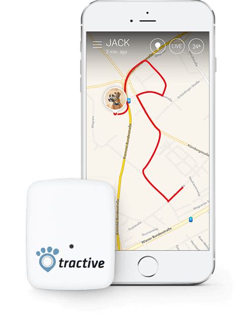 The gpcats gps locations tracker allows you to locate your cat anytime, anywhere. Tractive GPS | Dog gadgets, Gps tracker, Pet tracker