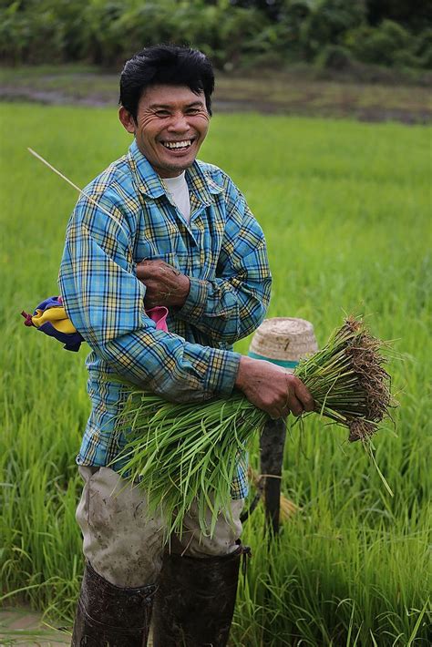 Impact Of Covid 19 On Rice Farmers In Southeast Asia East West Center