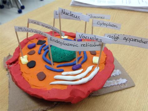 Check spelling or type a new query. play doh animal cell project - Google Search | Cool Things ...
