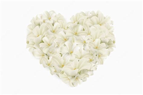 Download White Lilies Flower Heart Wallpaper