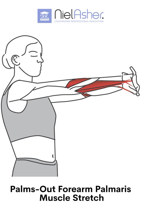 Pin On Muscle Stretches For Trigger Points