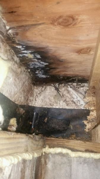 The insulation will lower your energy bills and increase the comfort of your basement. Leaking Basement At Rim Joist Only When It Rains ...