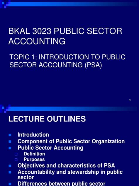 What are some of the malaysian government's initiatives/approaches to combat 3. Public sector accounting | Fund Accounting | Accounting
