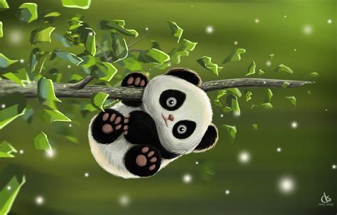 11 Cute Anime Panda Wallpaper Orochi Wallpaper