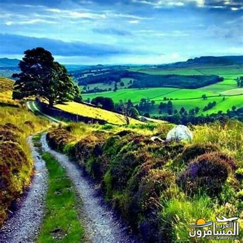اجمل المشاهد السياحية فى تونس الخضراء اجمل الاماكن السياحية حول العالم travel4all.org/ar. تونس الخضراء في صور حديثة (2017 - 2018) متجدد - الصفحة 49 - شبكة و منتديات العرب المسافرون