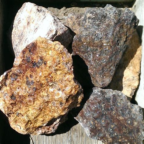 Birdseye Rhyolite Rough Rhyolite Rock Minerals Crystals And Gemstones