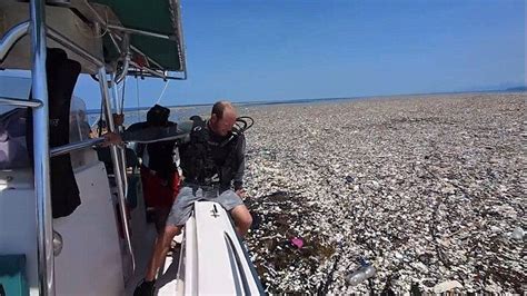 Shocking Footage Shows Island Of Rubbish Floating In Caribbean Sea