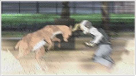 tropes - Why is the Tiger/German Suplex wrestling move so popular among