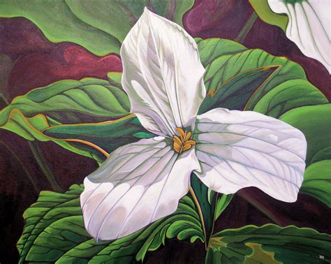 Trillium Found On A Woodland Trail In Ontario Fine Art By Wendy Russell