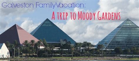 The water park at moody gardens isn't as grand as schlitterbahn by any means, so i can't say it's awesome per say. Our Trip to Moody Gardens | The TipToe Fairy