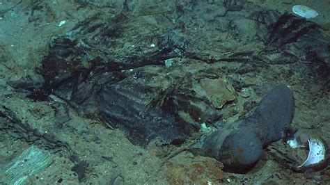Human Remains Pictured At Titanic Shipwreck Site Daily Telegraph