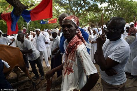 All the information about the haitian voodoo and all its spirits. Haitian Voodoo followers sacrifice goats during annual ...