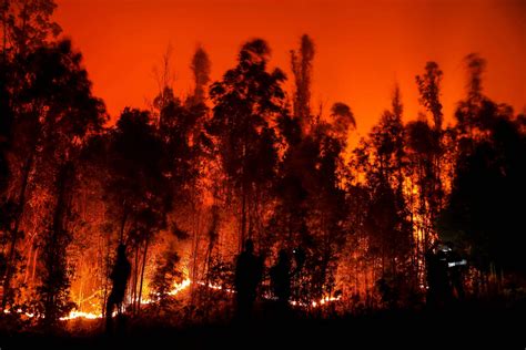 森林大火致22死逾500伤 智利中南多地进入灾难状态 国际 即时国际