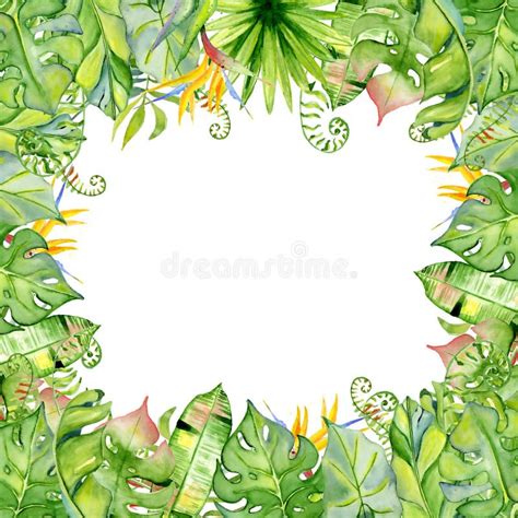 Watercolor Tropical Leaves Frame Stock Illustration Illustration Of