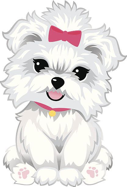 Fluffy White Dog Illustrations Royalty Free Vector