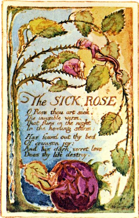 A Burning Fire In My Bones This Weeks Poem The Sick Rose By William Blake