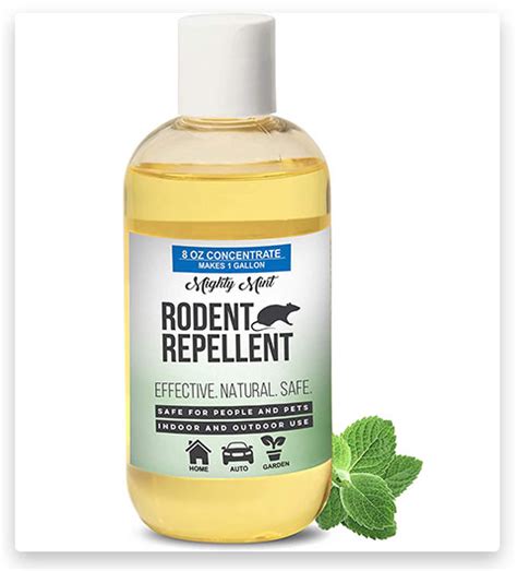 Best Chipmunk Repellents 2023 Top 19 Chipmunk Repellents