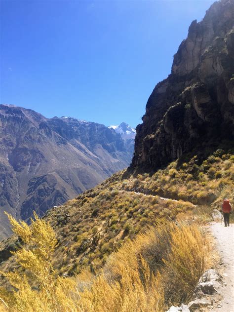 What to Expect When You Go Hiking in Colca Canyon | Slight North