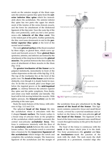 Cunninghams Manual Of Practical Anatomy Volume 1 1 20 161