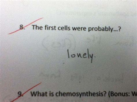 25 Kids That Wrote The Funniest Test Answers Ever Too Funny Boredombash