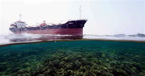 Sabah Parks To Check Coral Reefs Damaged By Stranded Cargo Vessel New